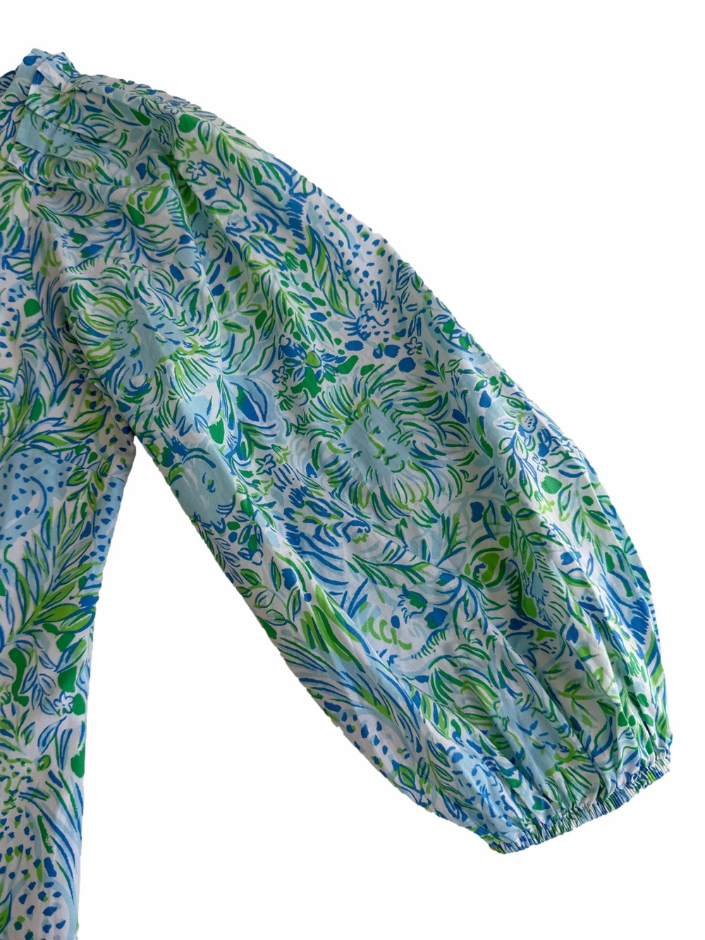 Lilly Pulitzer Barbara Dress Hydra Blue Dandy Lions Size 2 NO BELT Blue Green - Picture 6 of 10